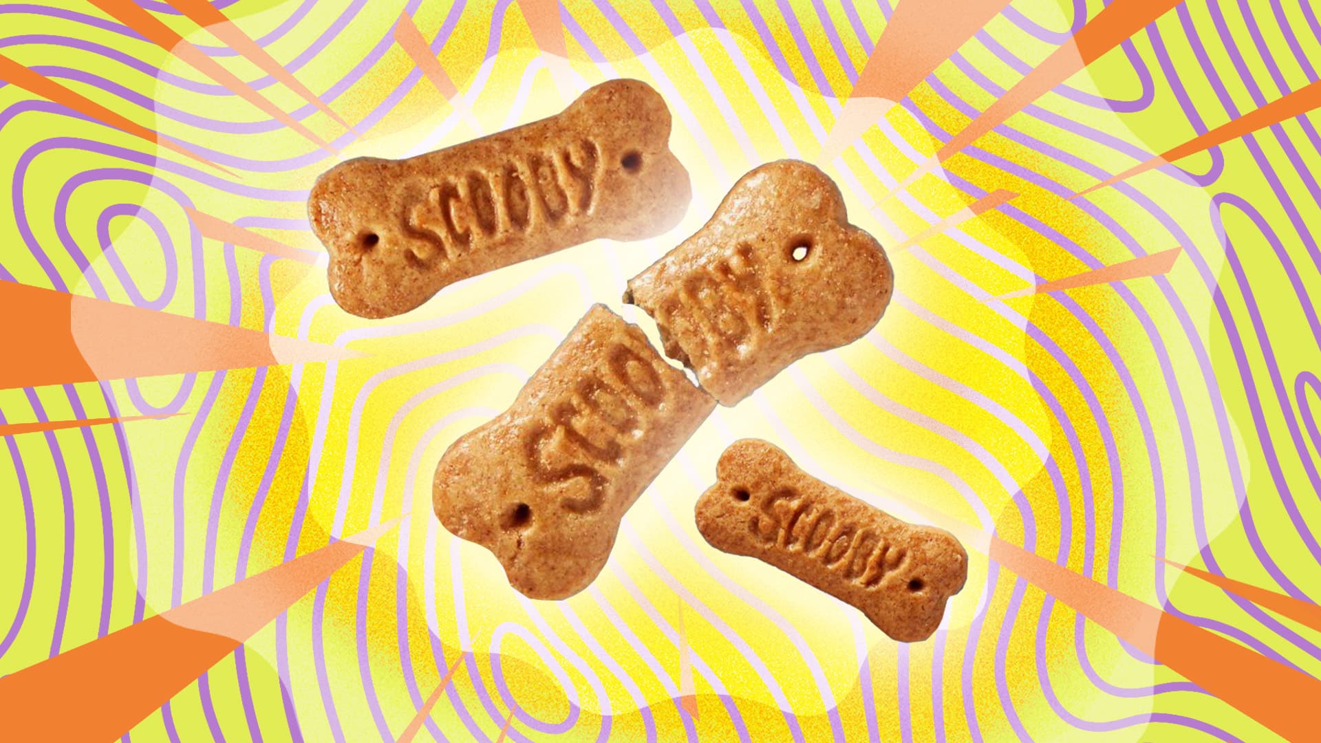 Scooby Snacks IRL We Tried Dog Treats for People Sporked