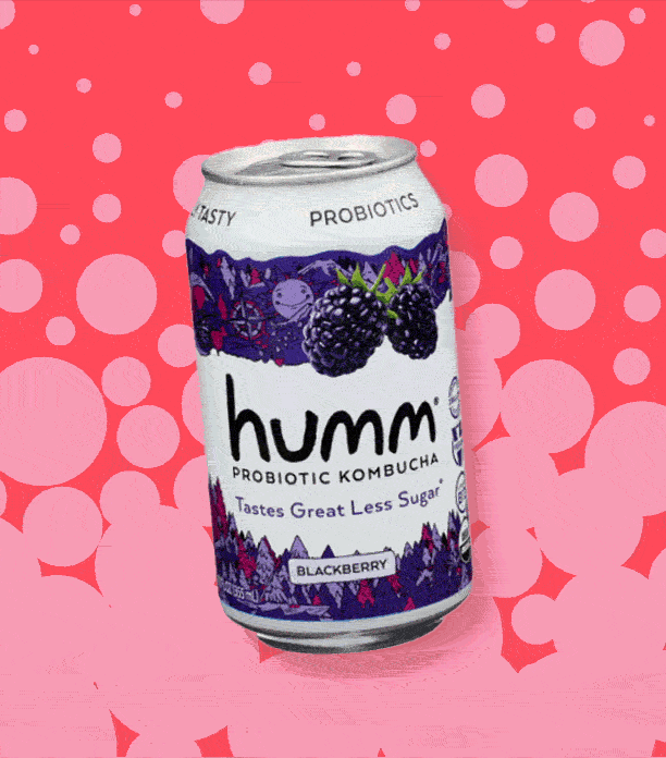 The Best Kombucha Brands and Flavors [Taste Test] Sporked