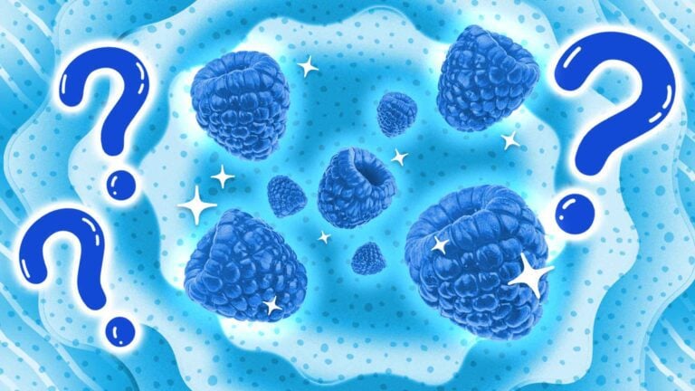 What Is Blue Raspberry and Does It Exist In Nature? | Sporked