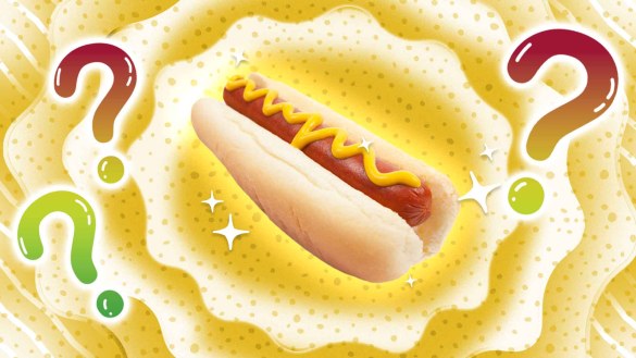 hot dog on a bun