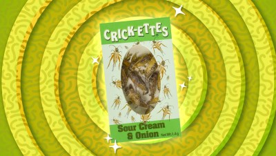 sour cream and onion crickets review