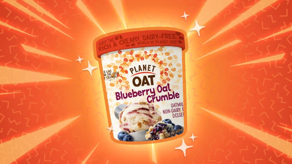 vegan ice cream