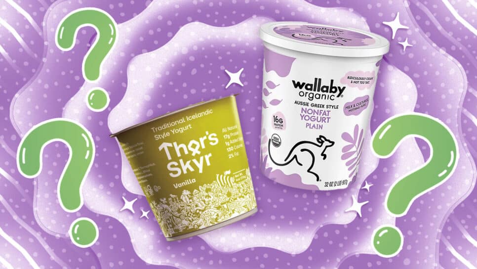greek yogurt vs skyr
