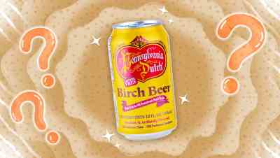 what is birch beer