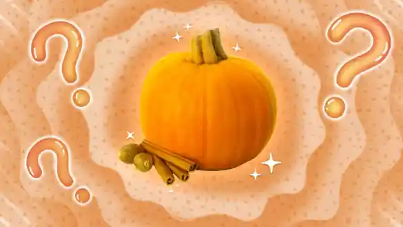 pumpkin spice