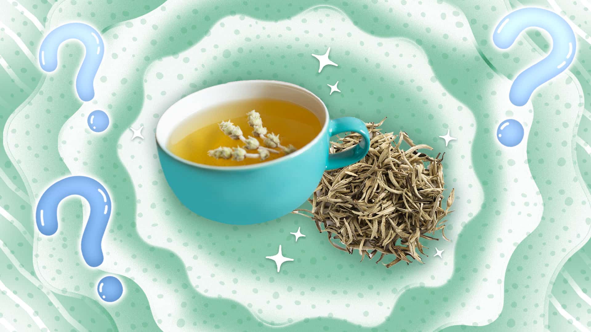 What Is White Tea? Sporked