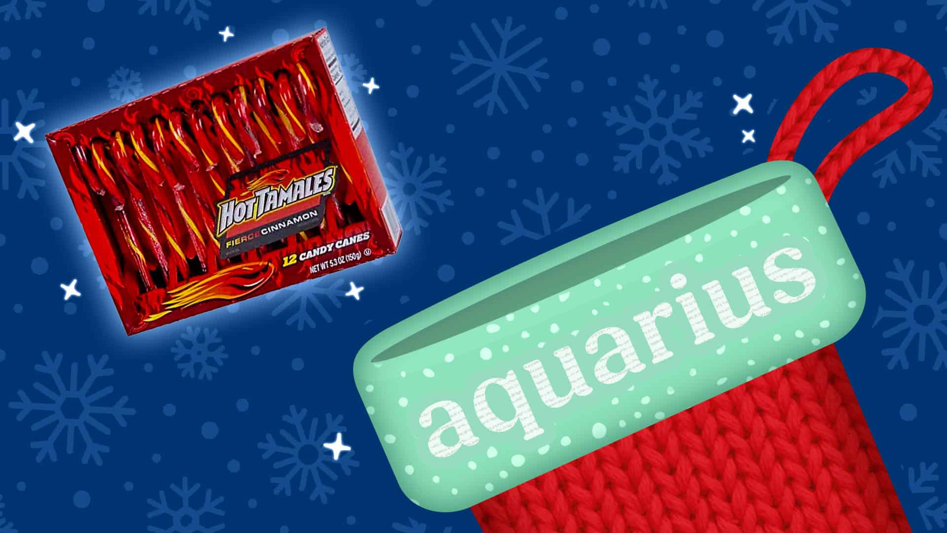 stocking stuffer zodiac aquarius