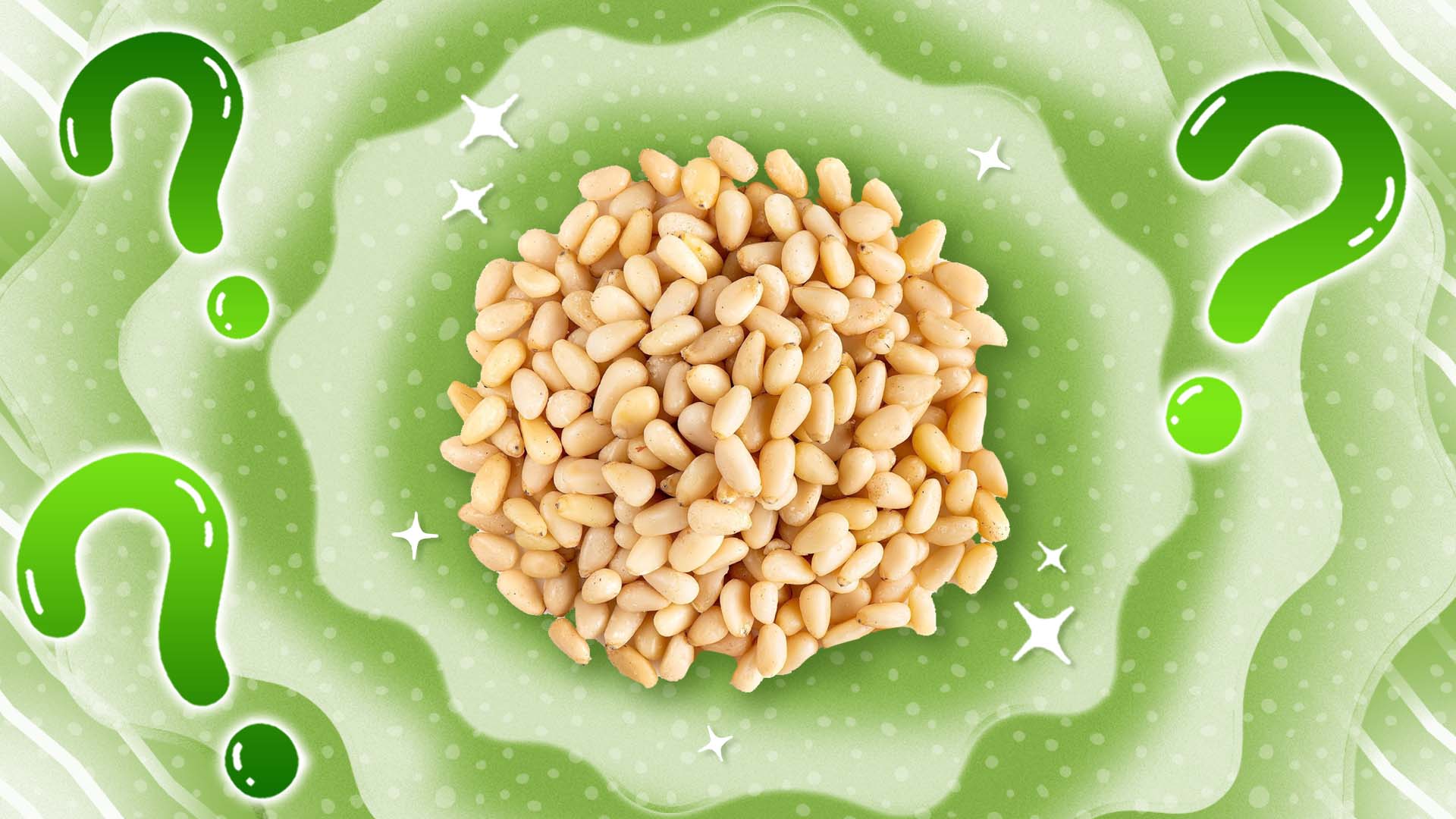 What Are Pine Nuts and Why Do They Cost So Much? Sporked