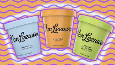 best van leeuwen ice cream flavors