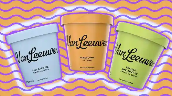 best van leeuwen ice cream flavors