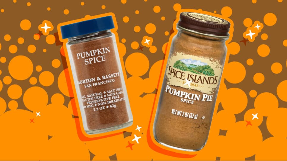 best pumpkin spice seasoning