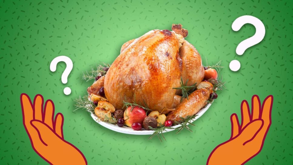 cheapest thanksgiving meal