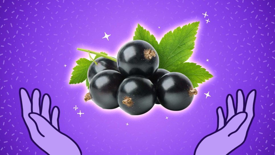 mccormick flavor of the year: black currant