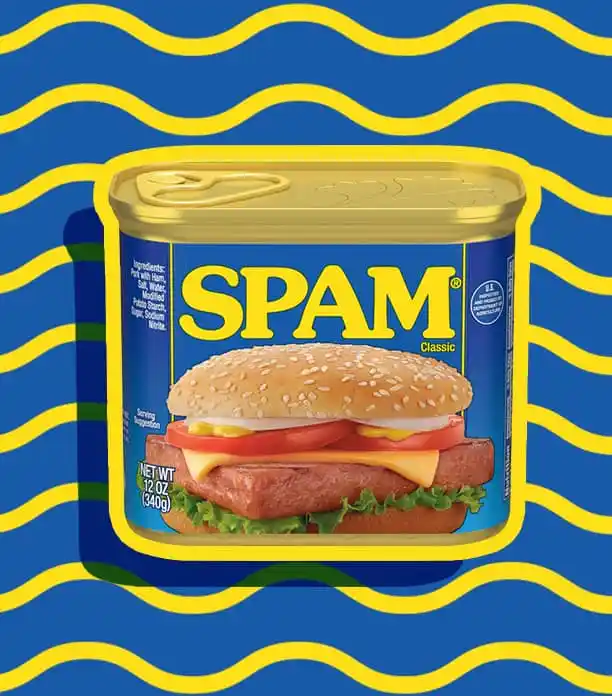 spam review