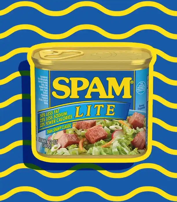 spam lite review
