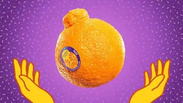 sumo citrus