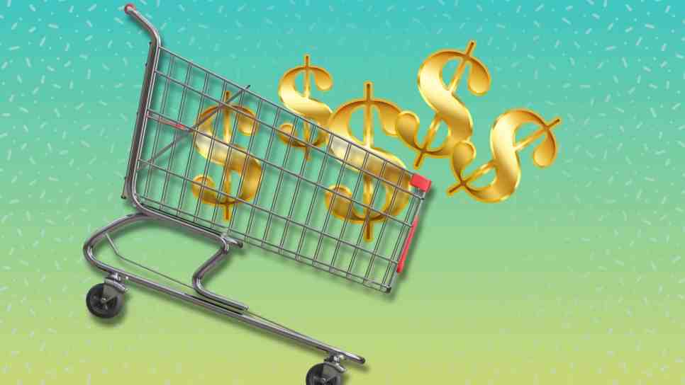 grocery cart with money