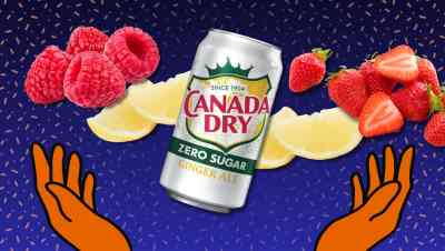new canada dry lemonade flavors