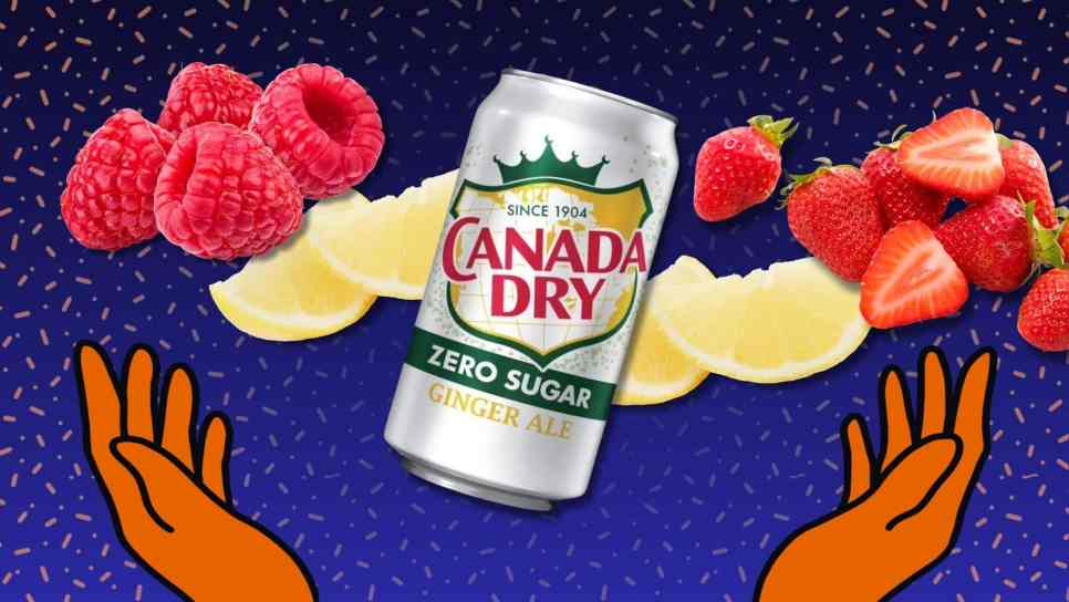 new canada dry lemonade flavors