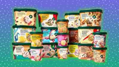 new publix ice cream