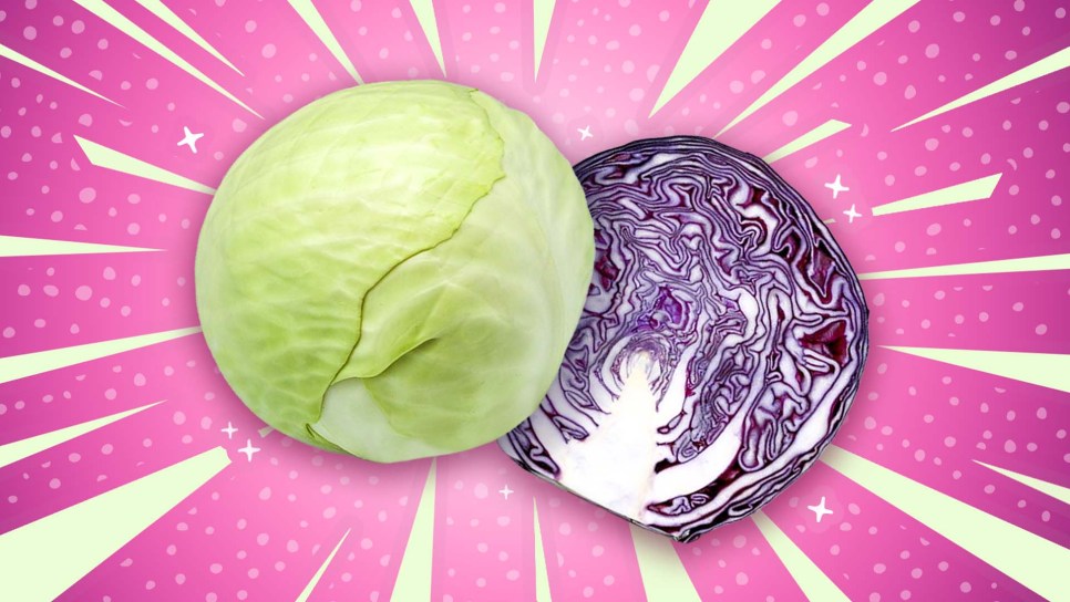 cabbage
